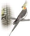 Heated Bird Perch Thermo-Perch Gray Small 1x10.5 Inches, Bird Cage Warmer Thermostatical Heaters for Caged Birds, Parrots, Parakeet